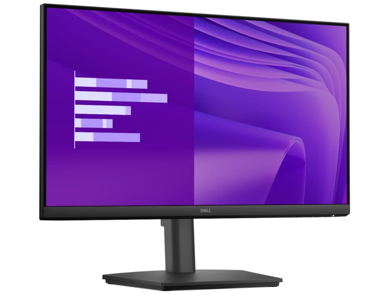 DELL 24 E2425HSM PRO MONITOR ADJ STAND 1920x1080 5MS 100Hz DP HDMI VGA PIVOT VESA